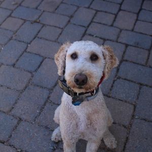 Meet your Posher, Aida